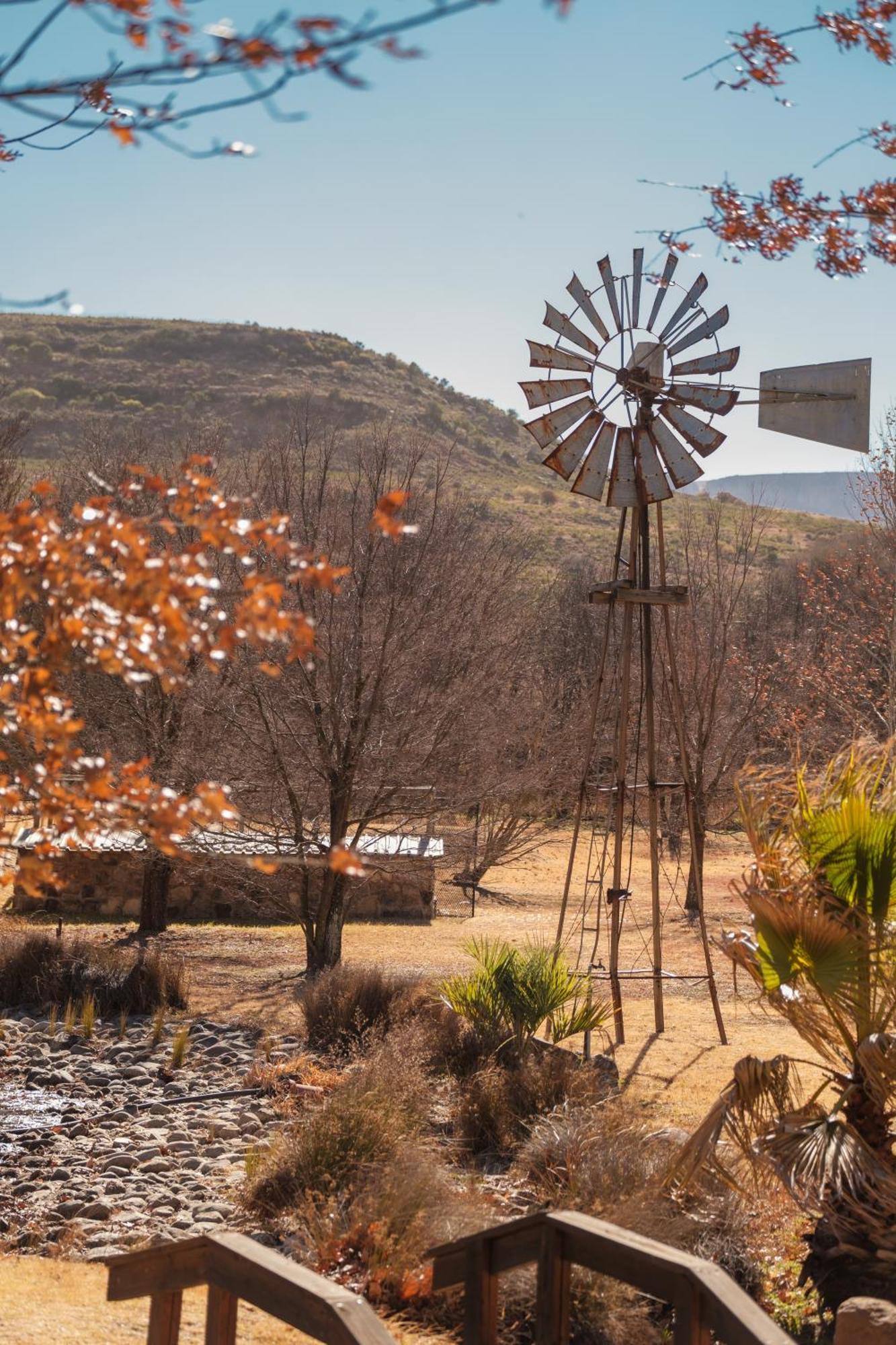 La La Nathi Country Guesthouse Harrismith Exterior foto